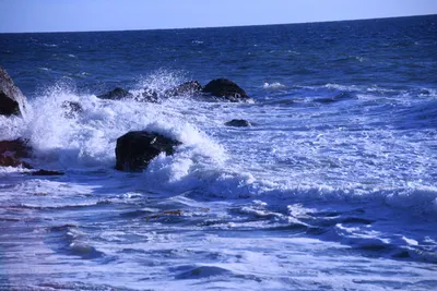 DSC_0560 (Large).JPG